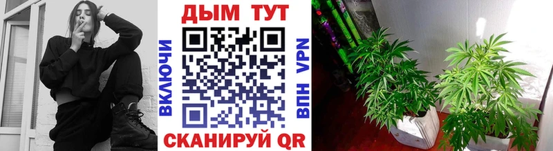 Бошки марихуана SATIVA & INDICA  Малоярославец 